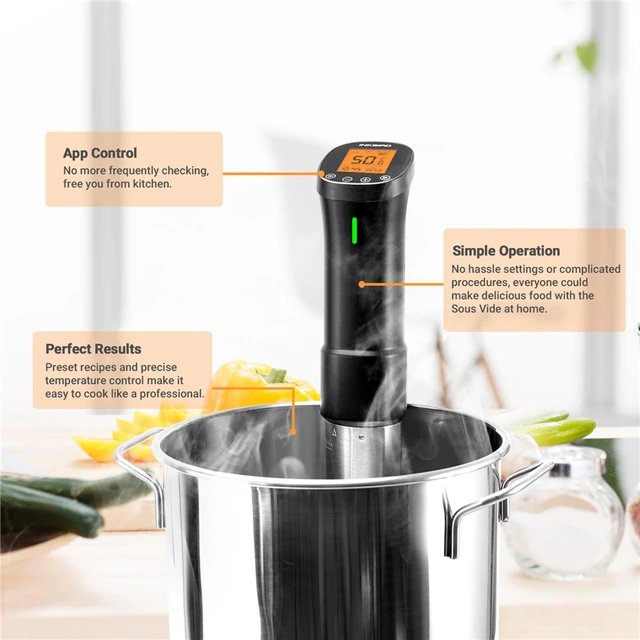 INKBIRD 220V Kitchen Culinary Appliance