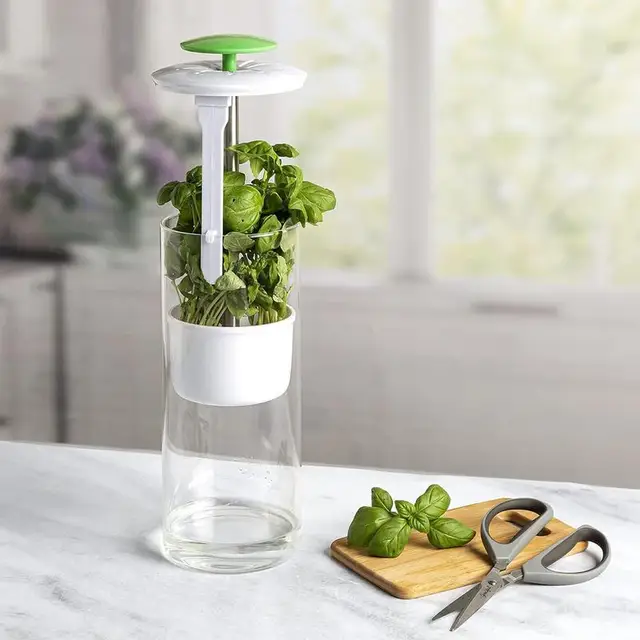 Herb Saver Storage Container