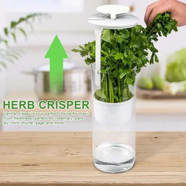 Herb Saver Storage Container