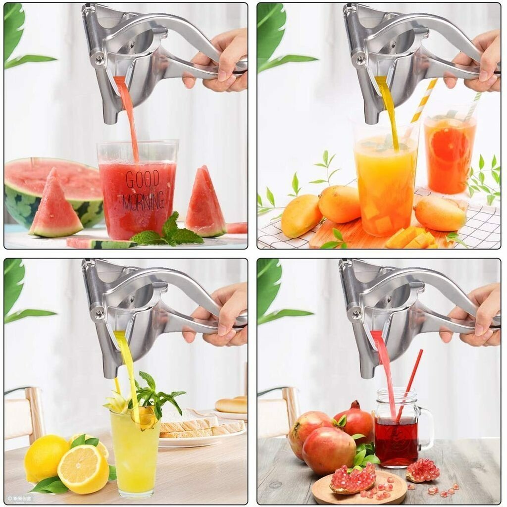 Extractor de jugo de frutas frescas de acero inoxidable
