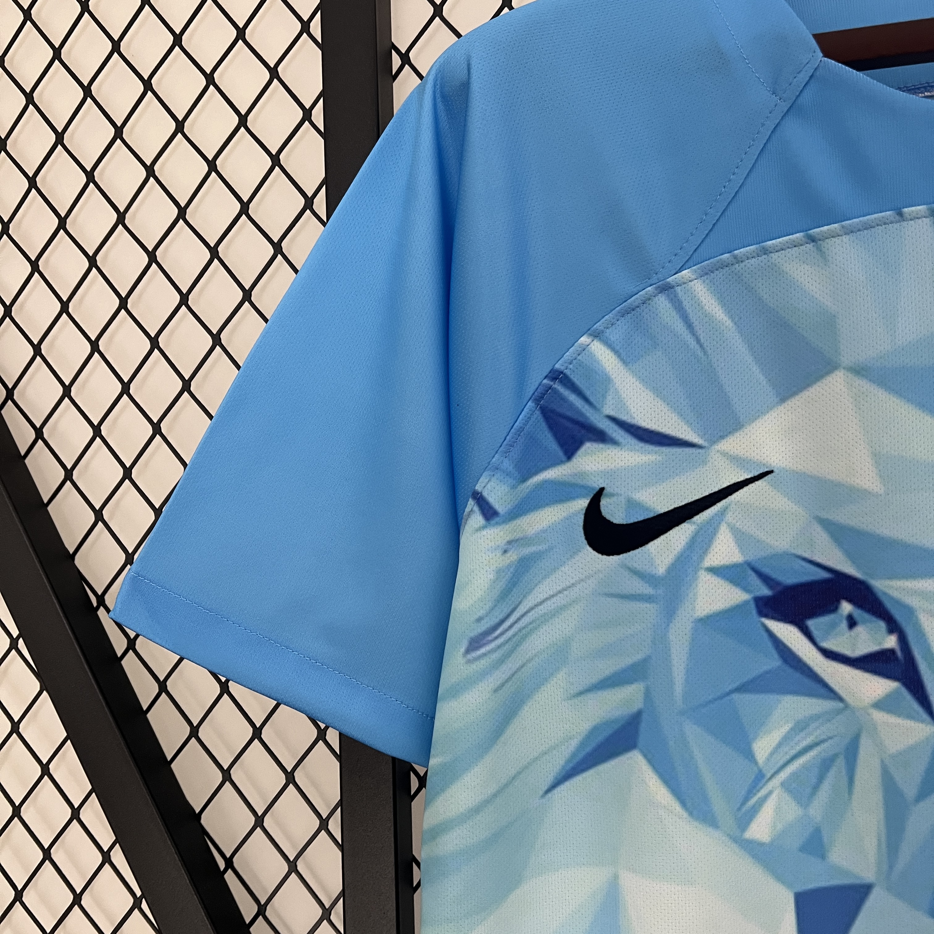 Netherlands 2024 Blue Special Edition Jersey - Fans Version