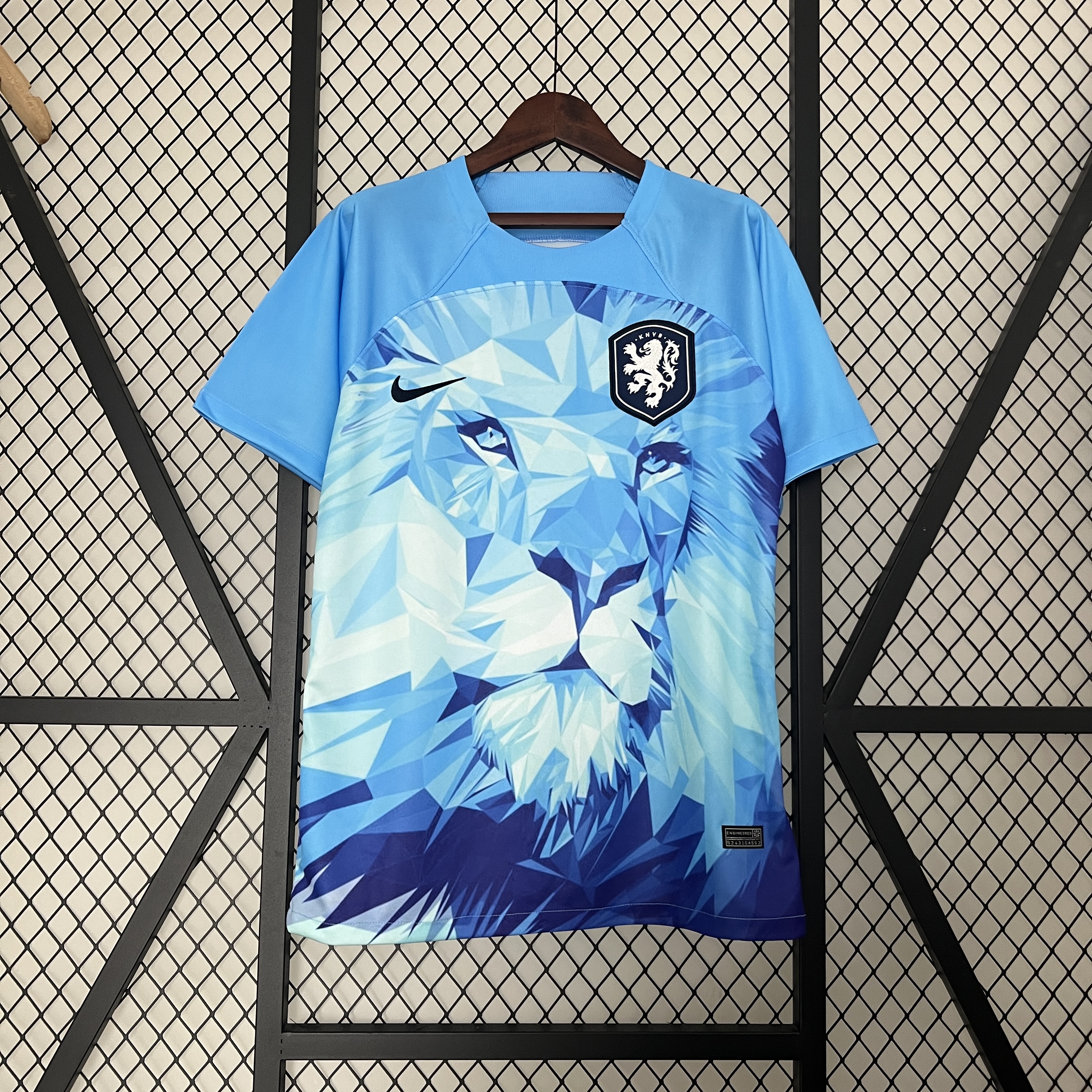 Netherlands 2024 Blue Special Edition Jersey - Fans Version