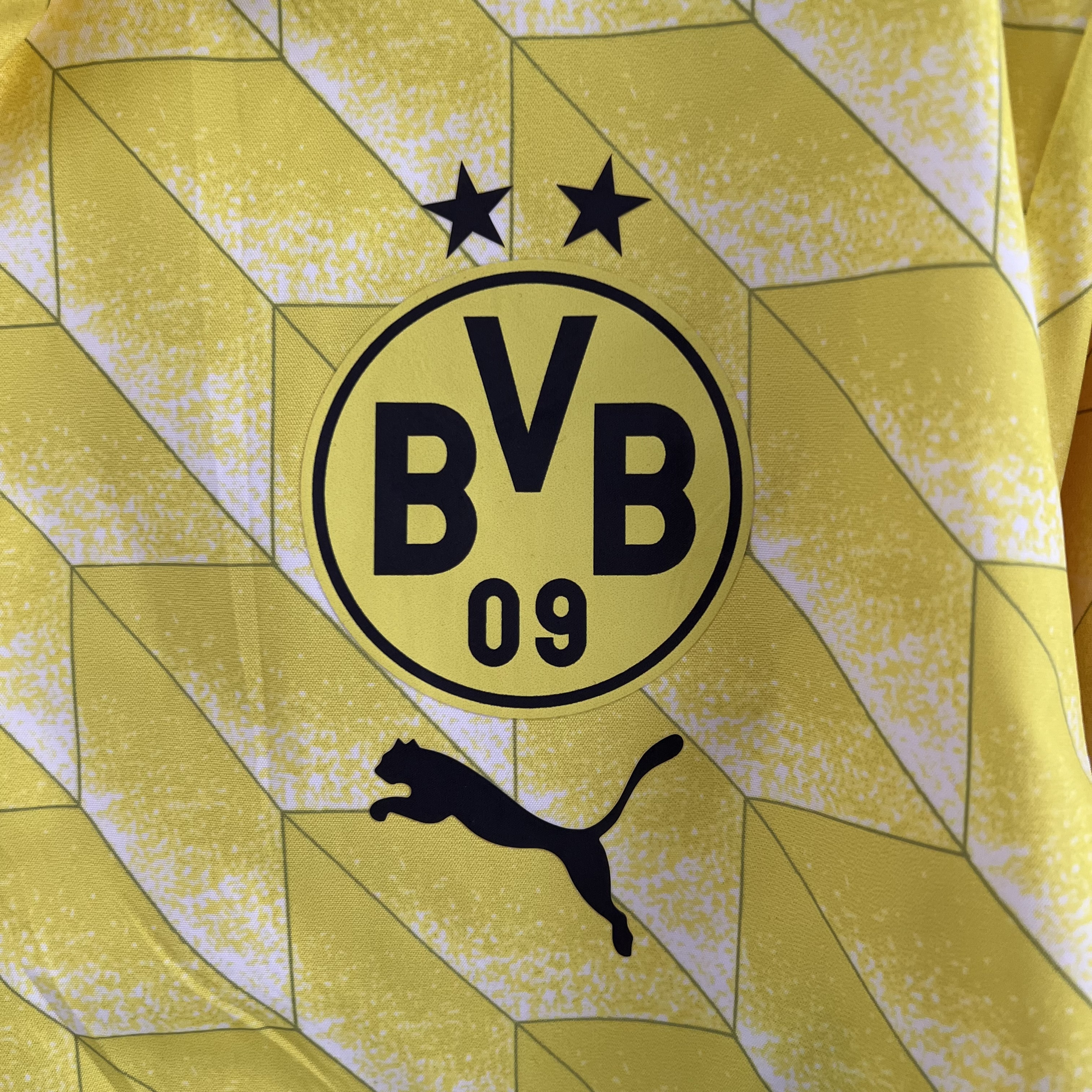Dortmund 23-24 Double Sided Windbreaker - Yellow