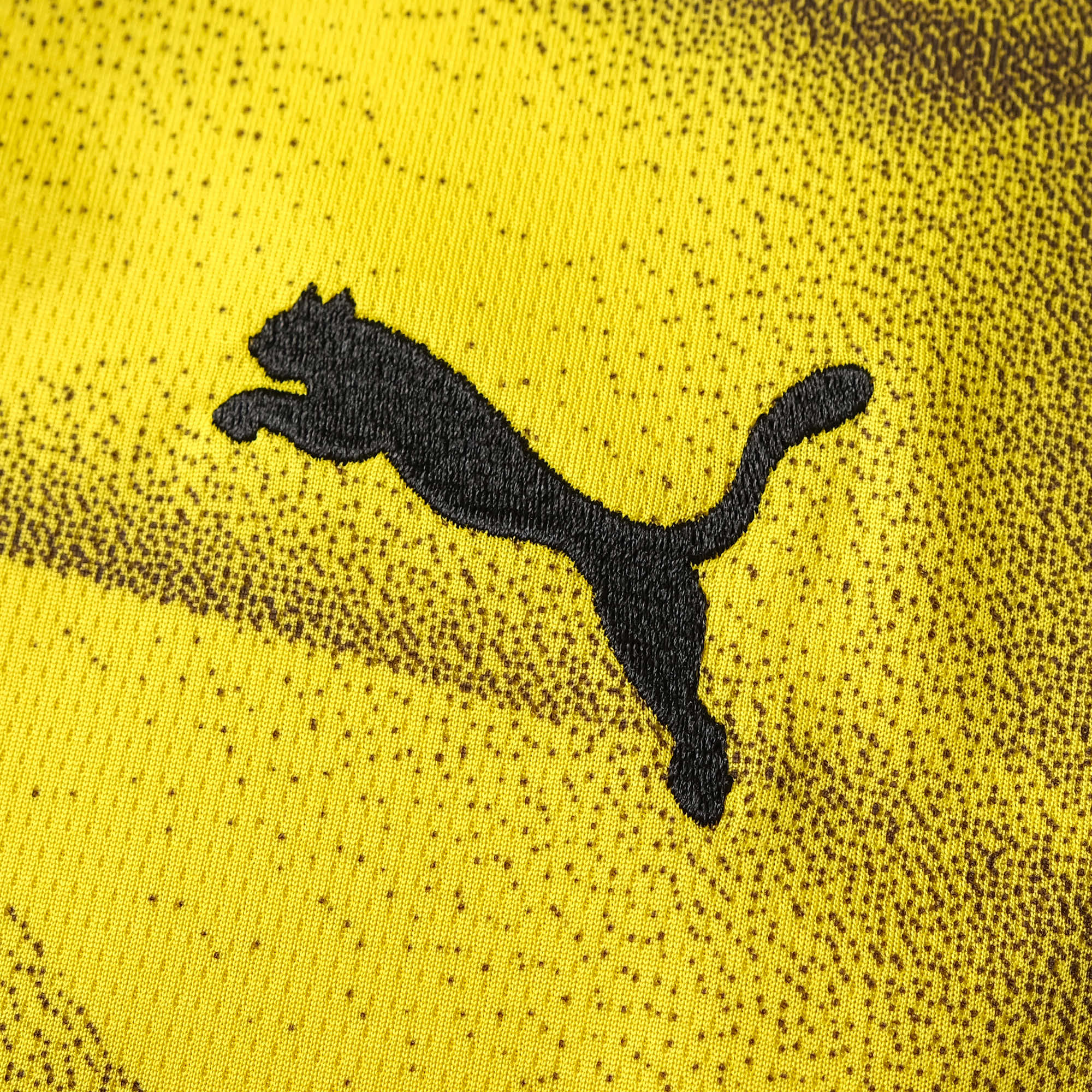 BVB Dortmund 23-24 Cup Jersey - Fans Version