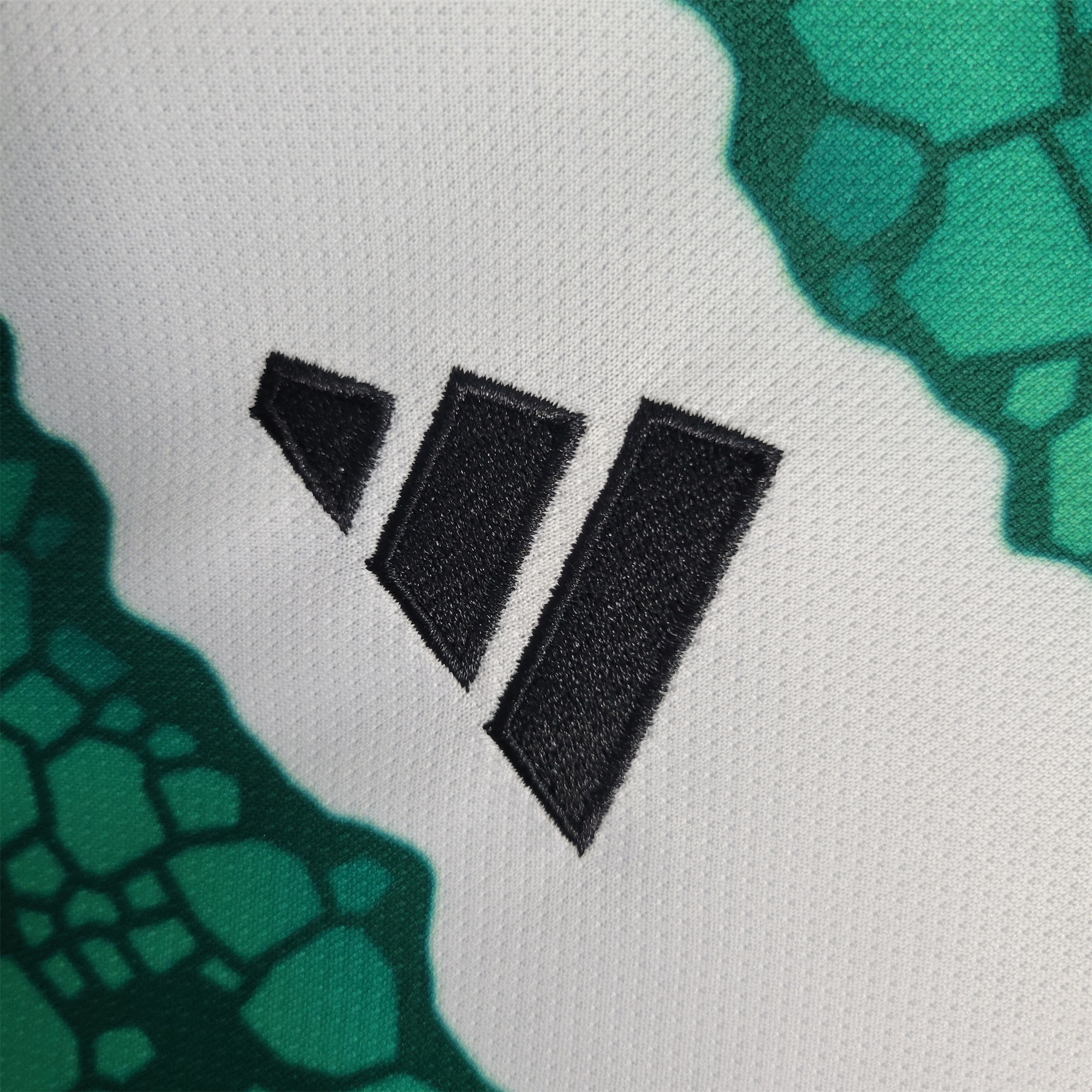 Celtic 23-24 Home Stadium Jersey - Fans Version