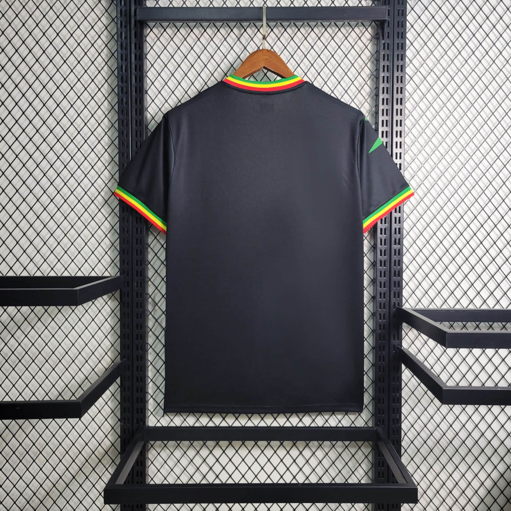 Mali 2024 Africa Cup Third Jersey - Fans Version