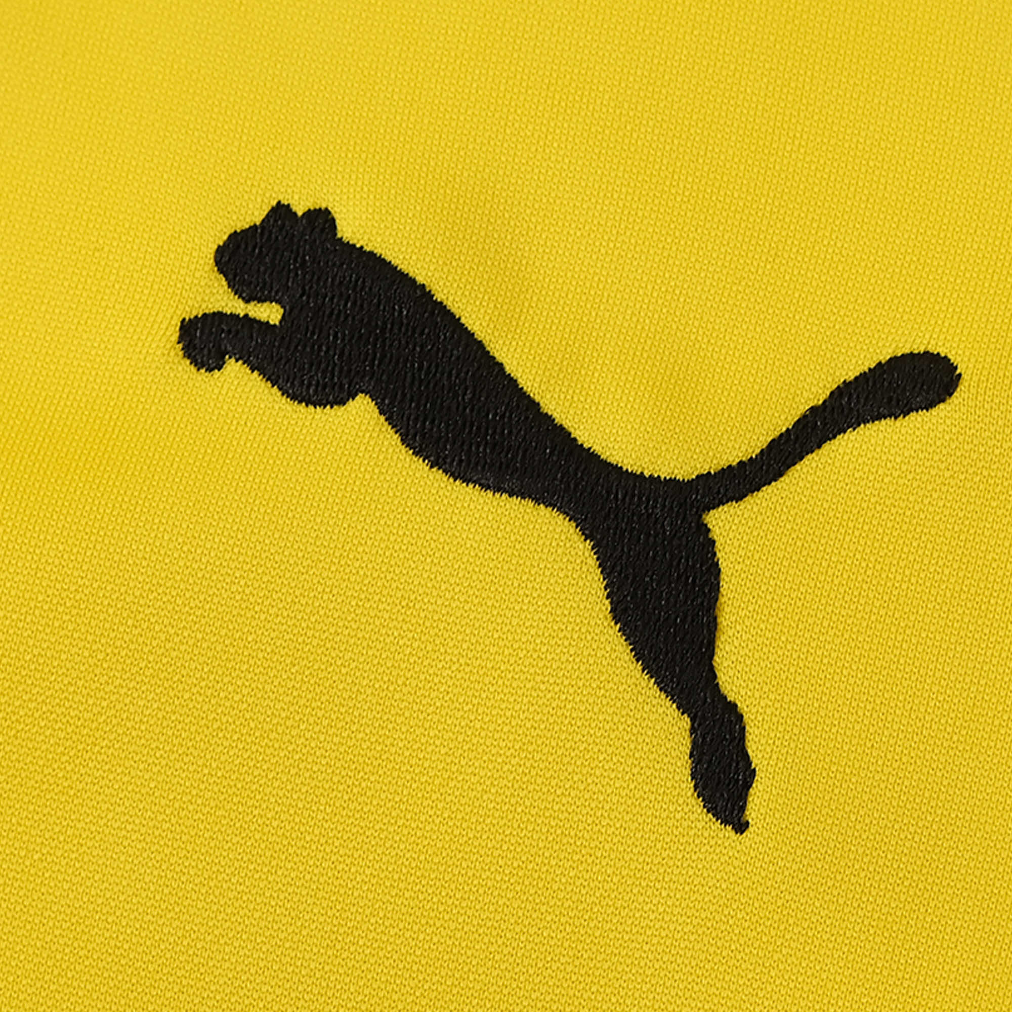 Dortmund 23-24 Long Sleeve Training Set -Yellow