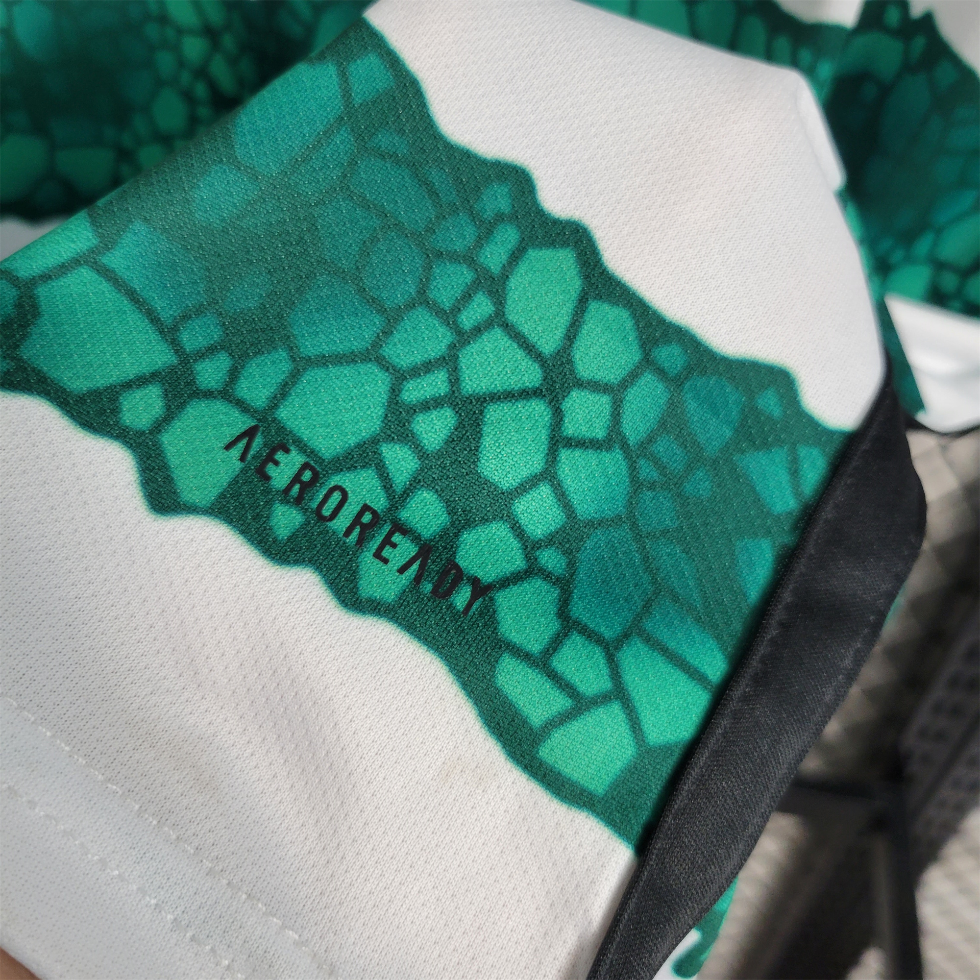 Celtic 23-24 Home Stadium Jersey - Fans Version