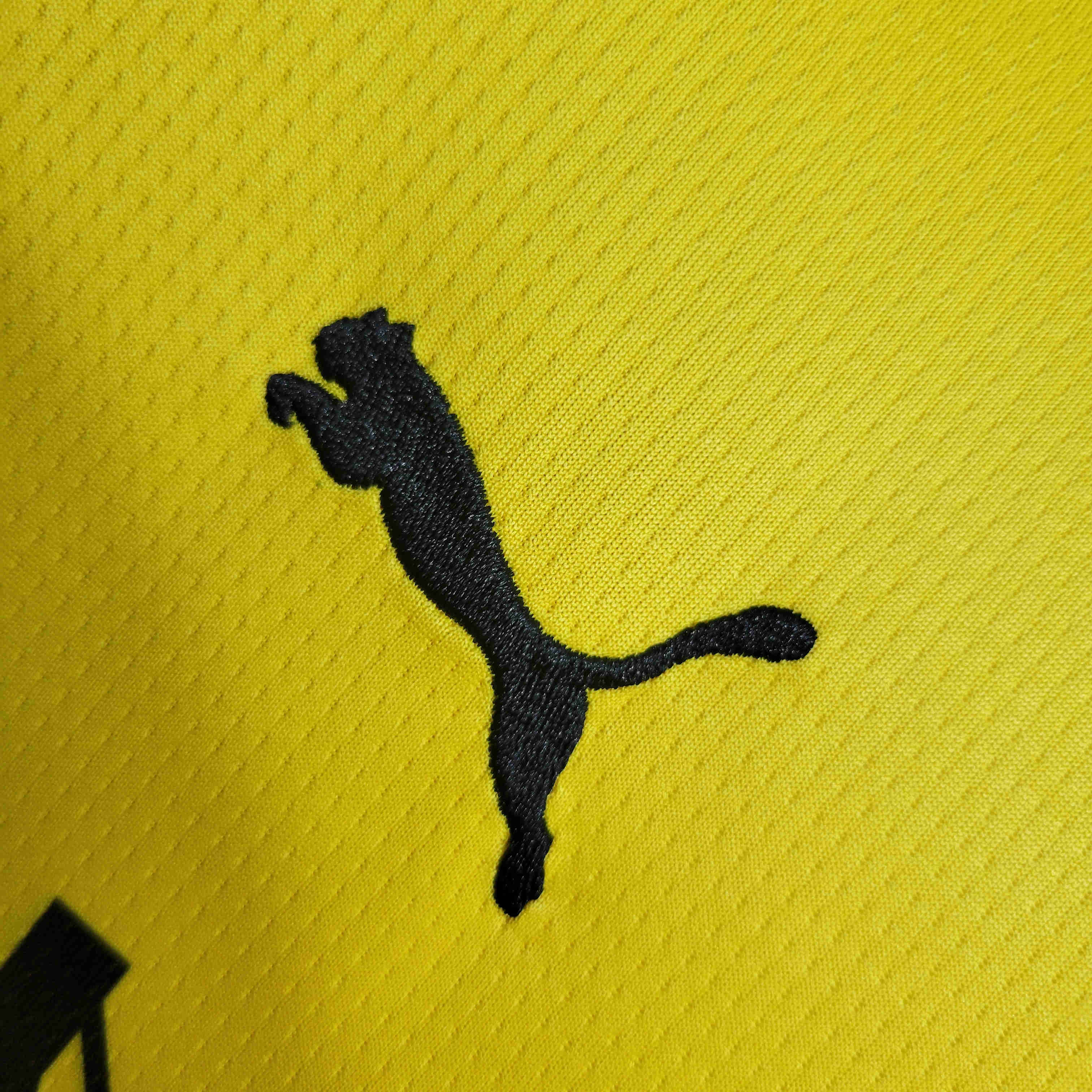 Dortmund 23-24 Home Kids kit