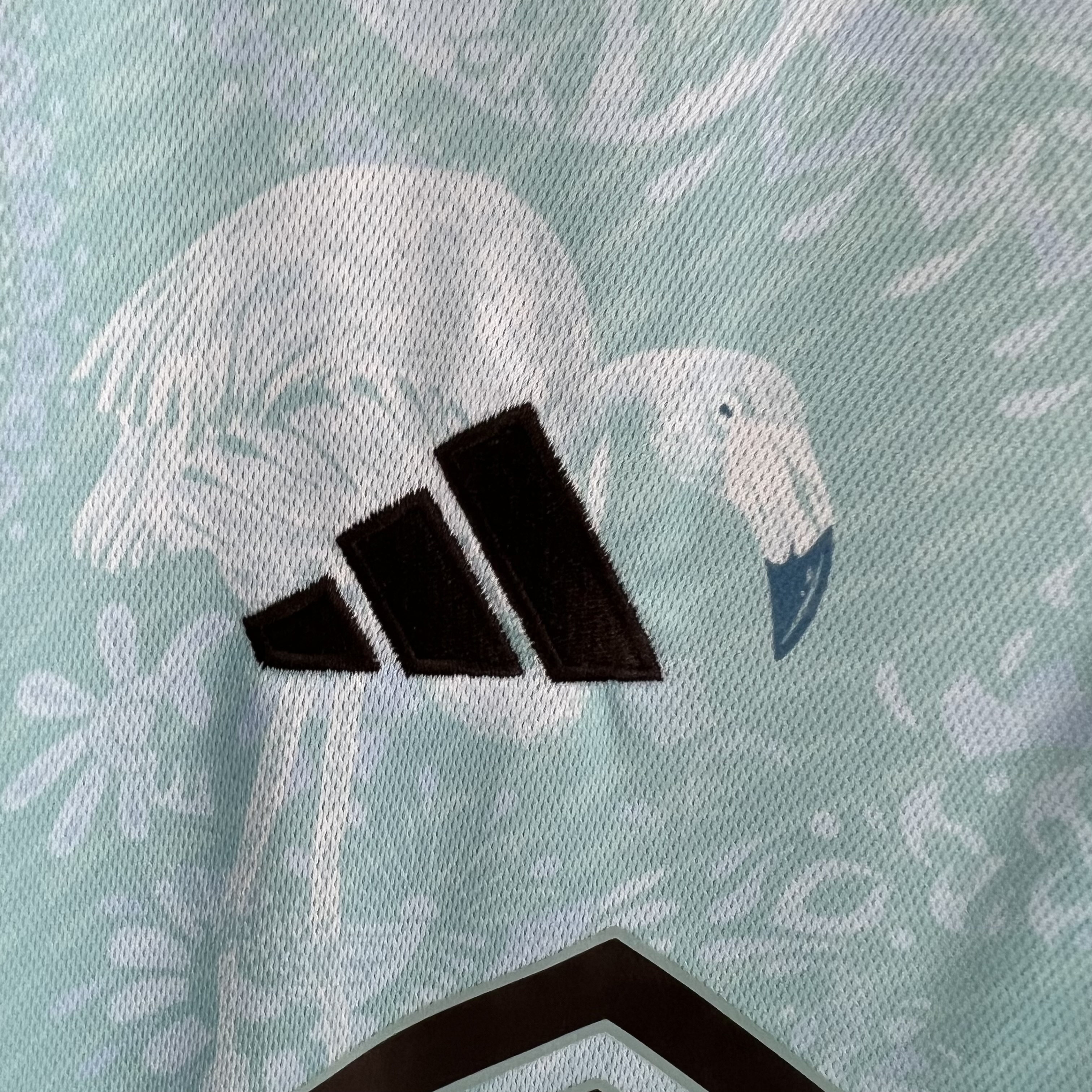 INT M.A.M 23-24 Blue Special Edition Jersey - Fans Version