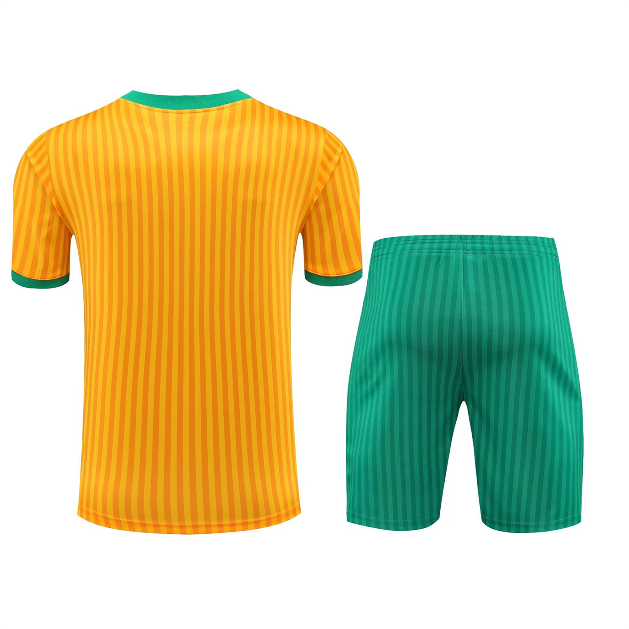 Bayern Munich 23-24 Short-Sleeve Training Set - Yellow