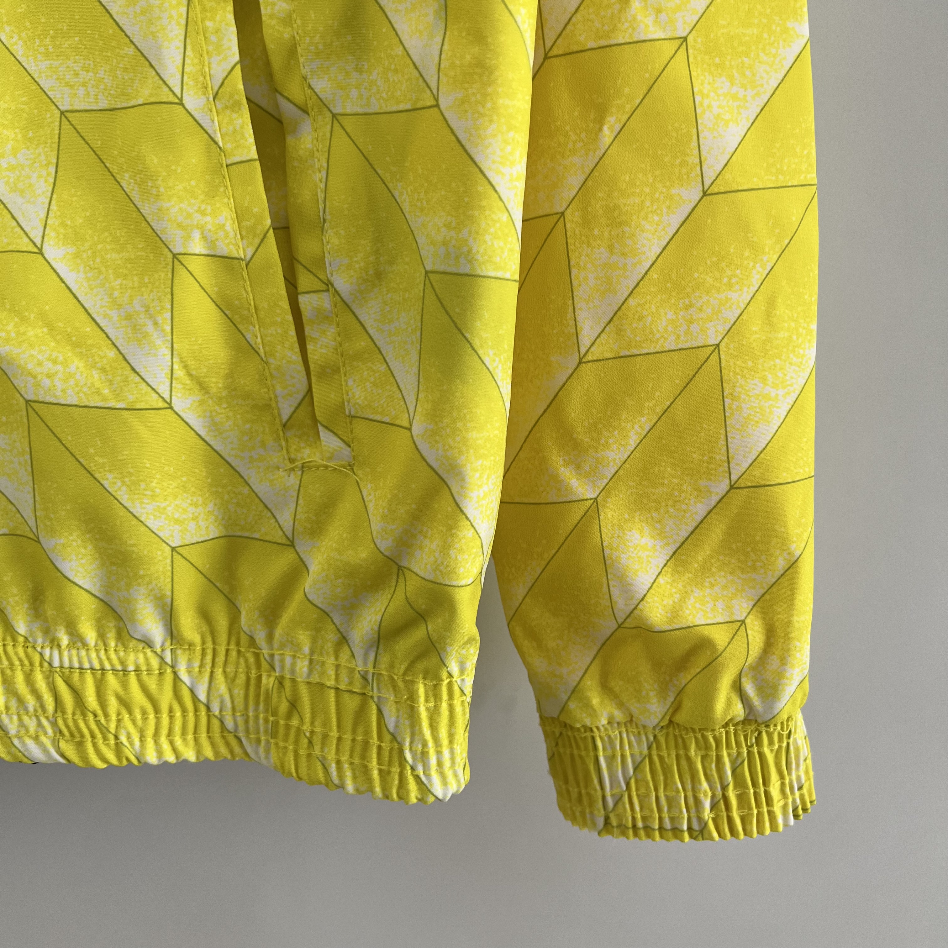 Dortmund 23-24 Double Sided Windbreaker - Yellow