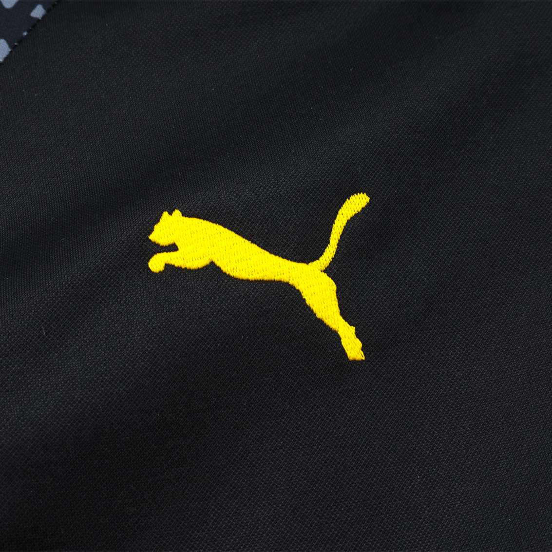 Dortmund 23-24 Men's Training Hoodie + Pants - Black
