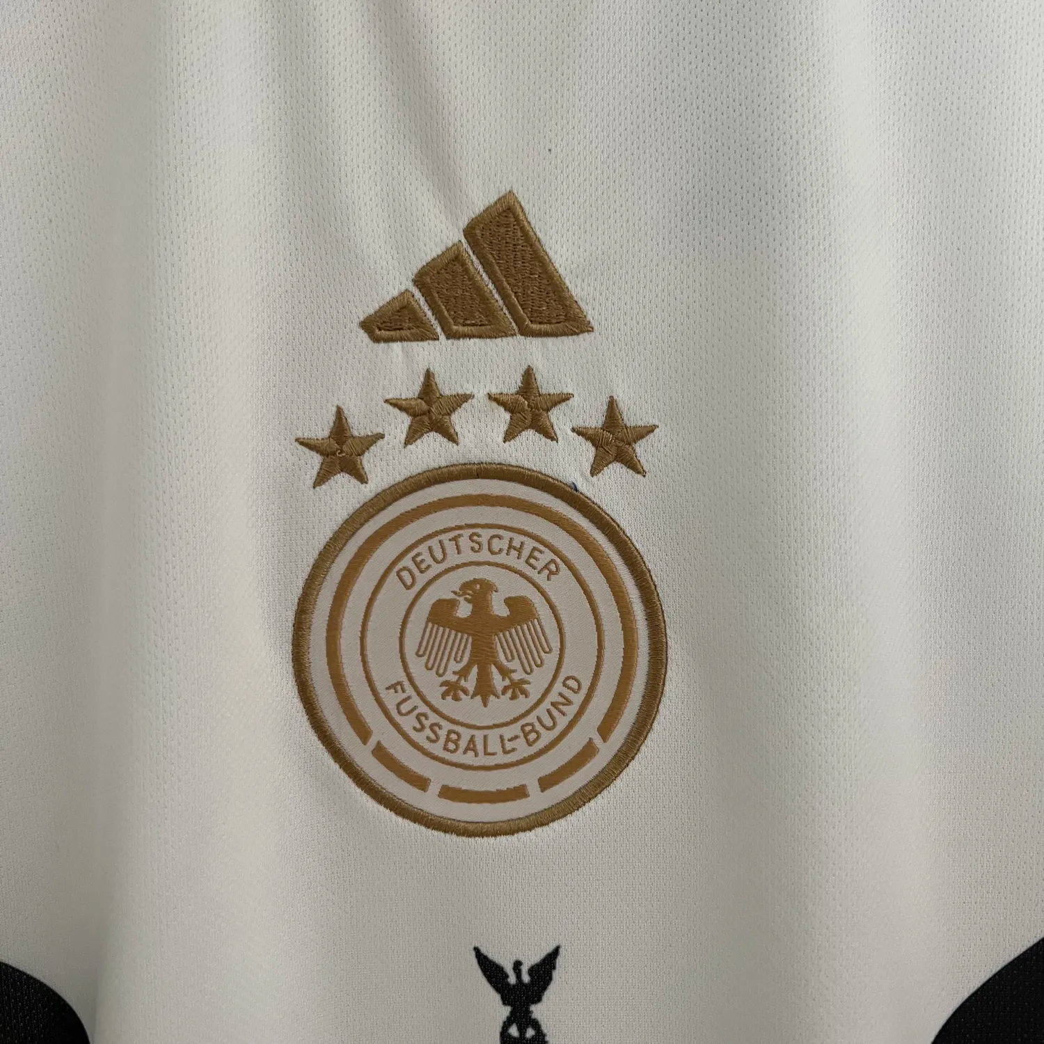 Germany 23-24 Special Edition Jersey - Fans Version