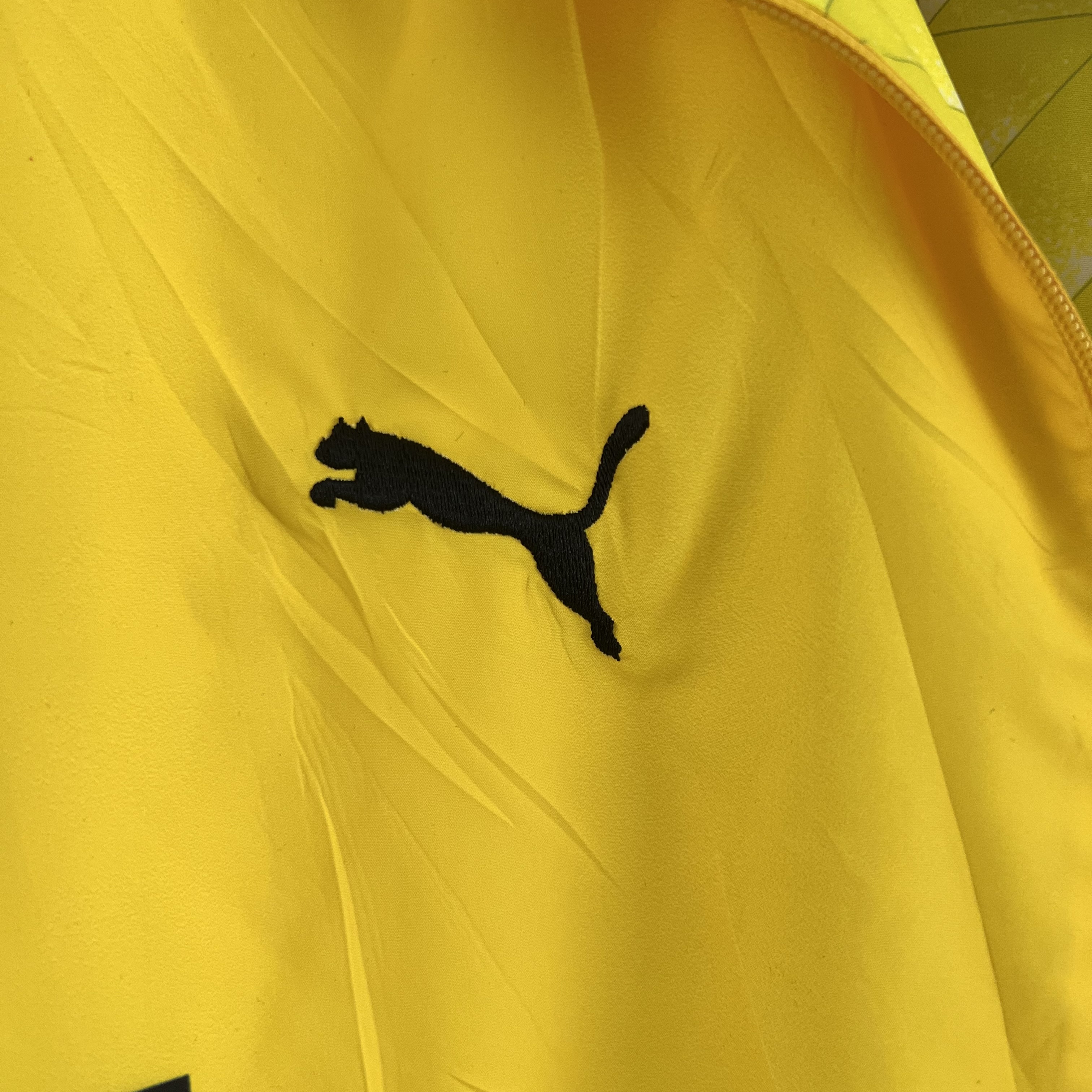 Dortmund 23-24 Double Sided Windbreaker - Yellow