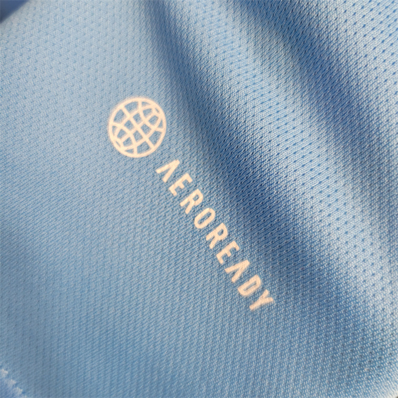 Argentina 2023 Training Jersey - Fans Version