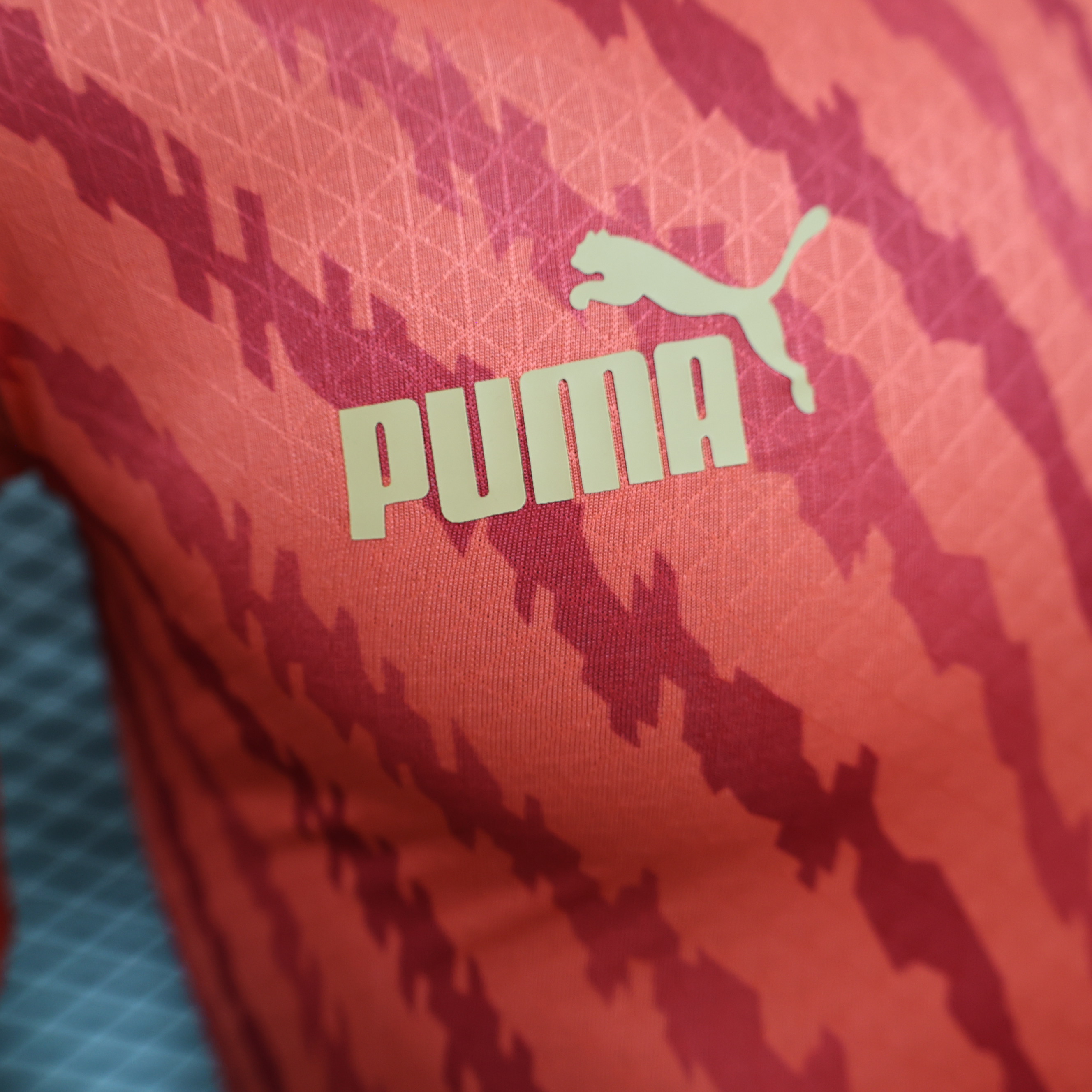 Morocco 23-24 Home Stadium Jersey - Player Version